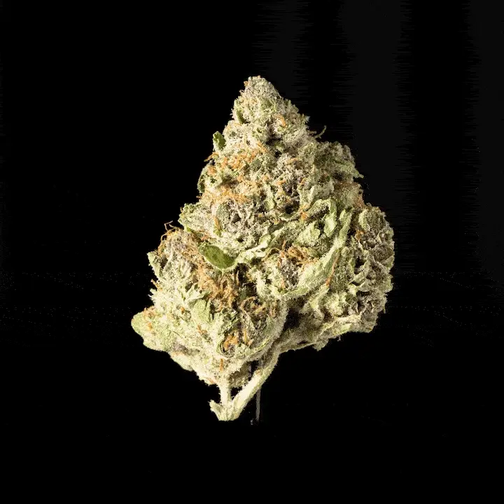 Purple Punch - Image 5