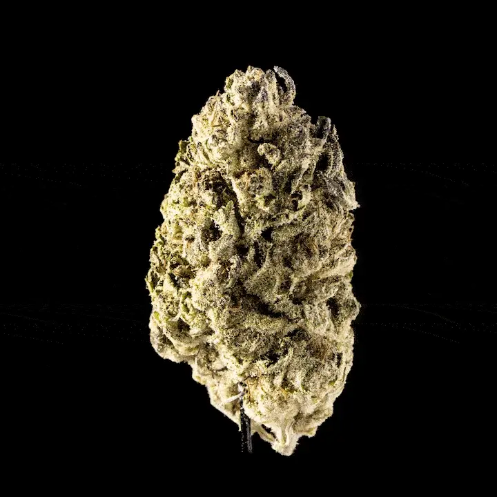 Slurricane - Image 6