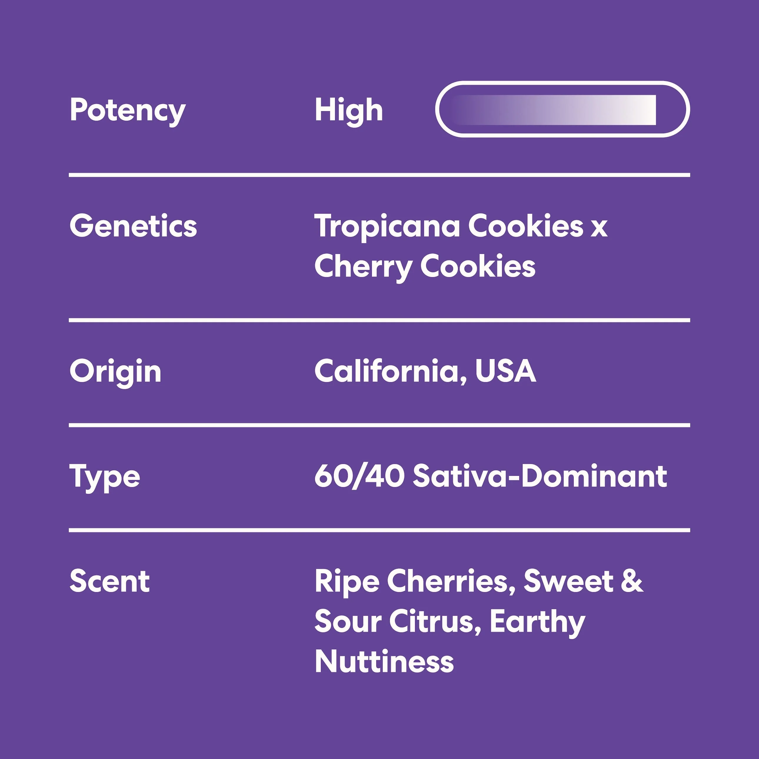 Tropicana Cherry Cookies - Image 4