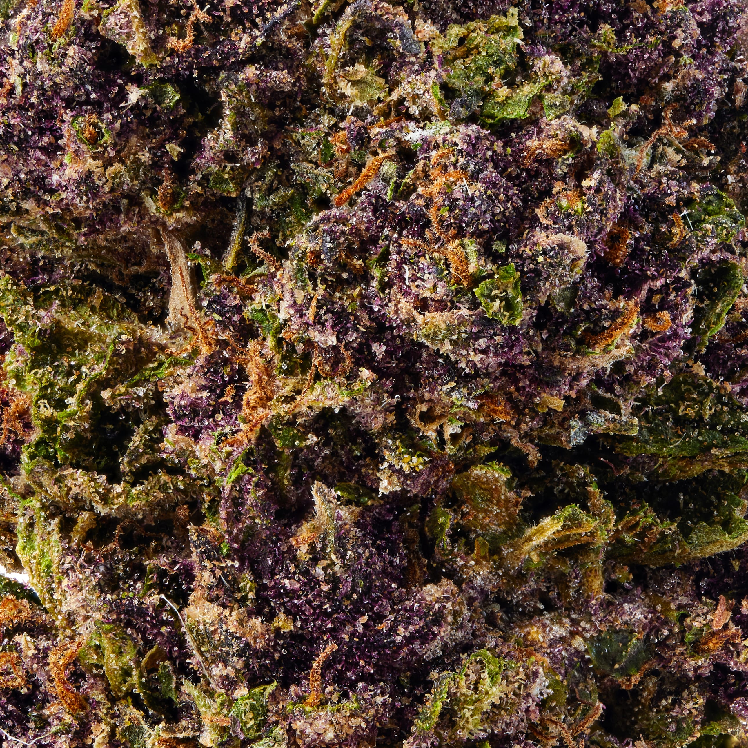 Tropicana Cherry Cookies - Image 7